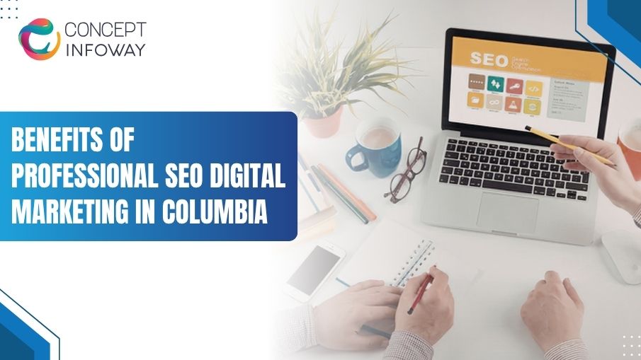 Benefits of Professional SEO Digital Marketing Company - Concept Infoway LLC