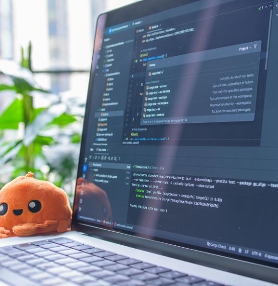 Your Web Development Partner in Charleston, SC